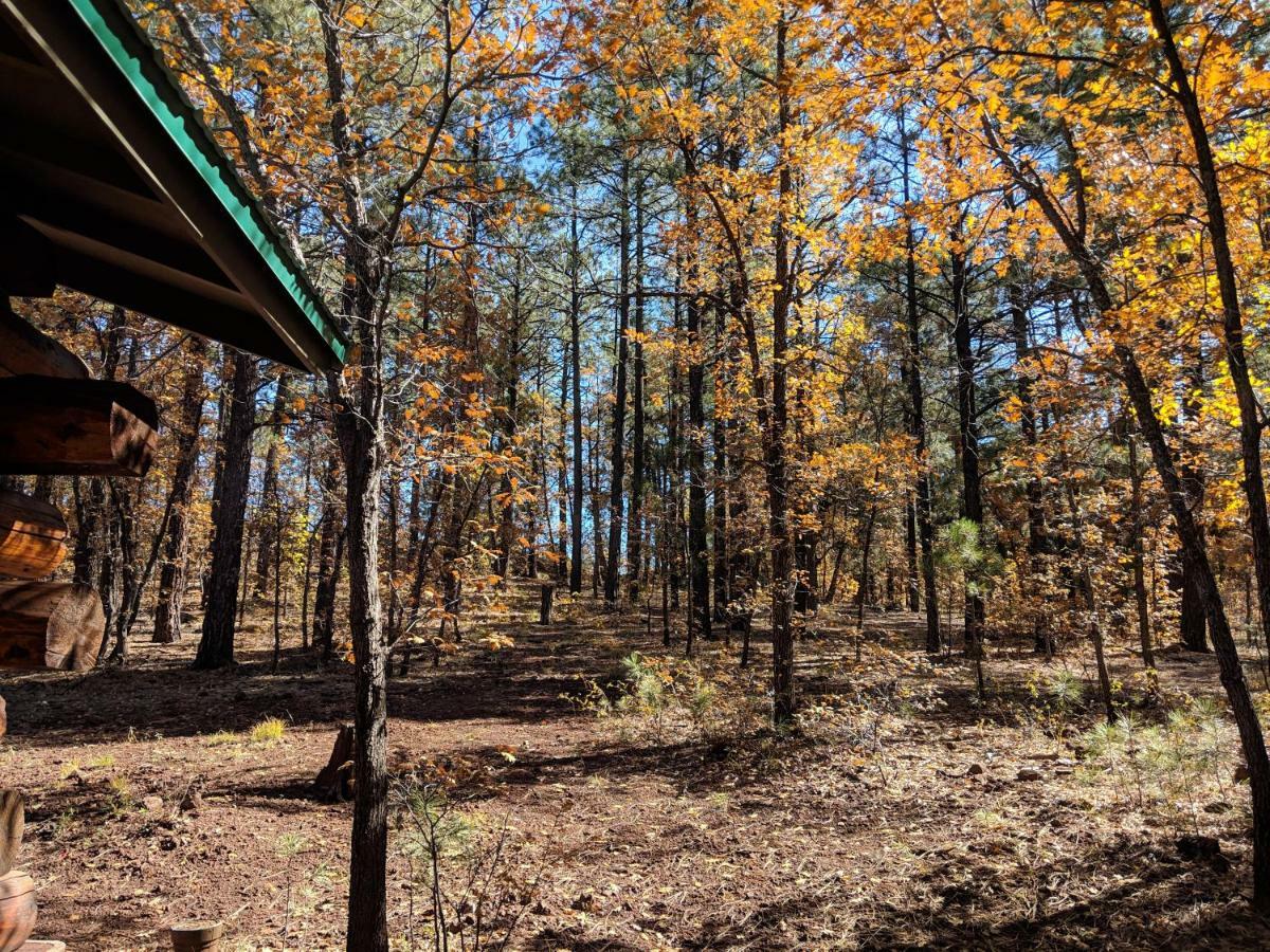 Cozy Cub Log Cabin - Year Round Tranquil Beauty Pinetop-Lakeside Ngoại thất bức ảnh
