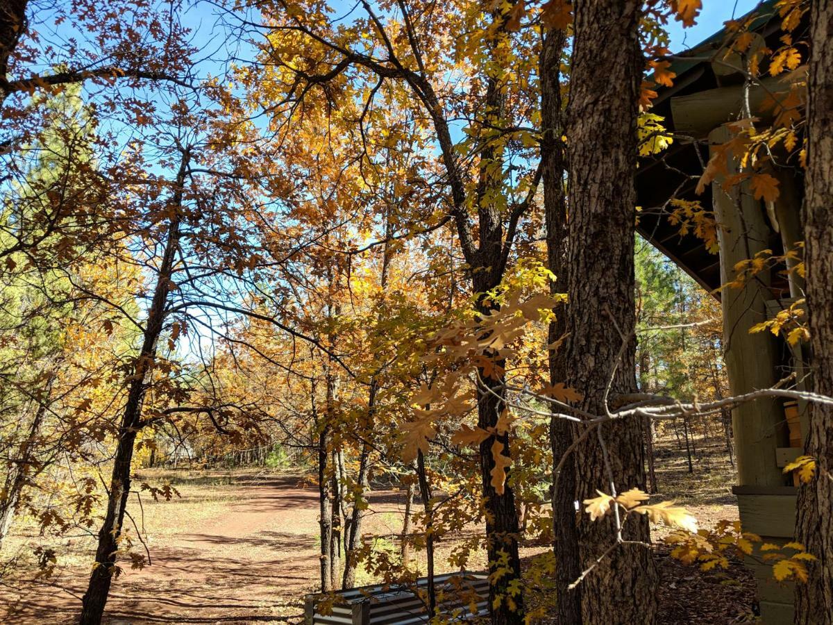 Cozy Cub Log Cabin - Year Round Tranquil Beauty Pinetop-Lakeside Ngoại thất bức ảnh