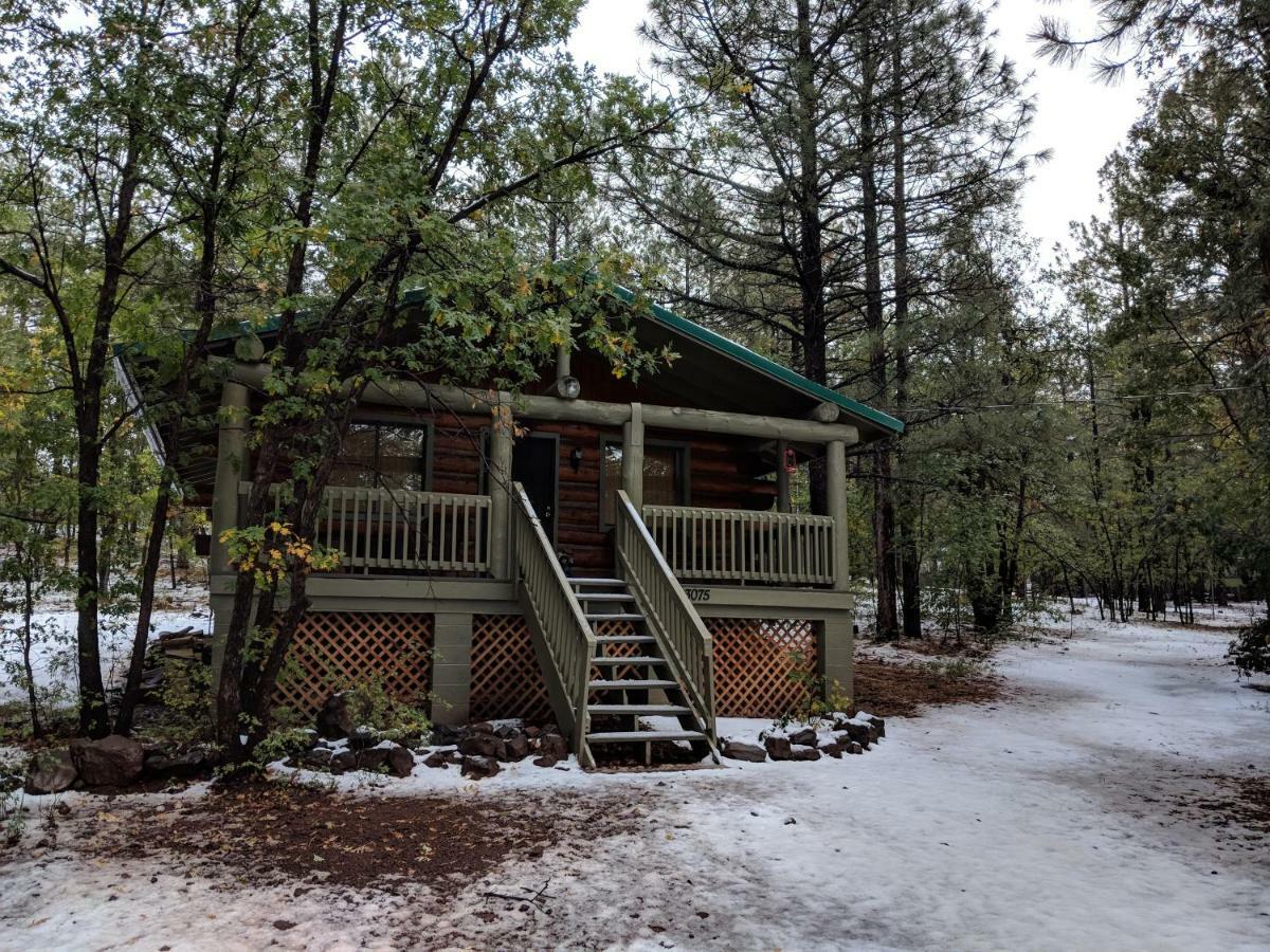 Cozy Cub Log Cabin - Year Round Tranquil Beauty Pinetop-Lakeside Ngoại thất bức ảnh